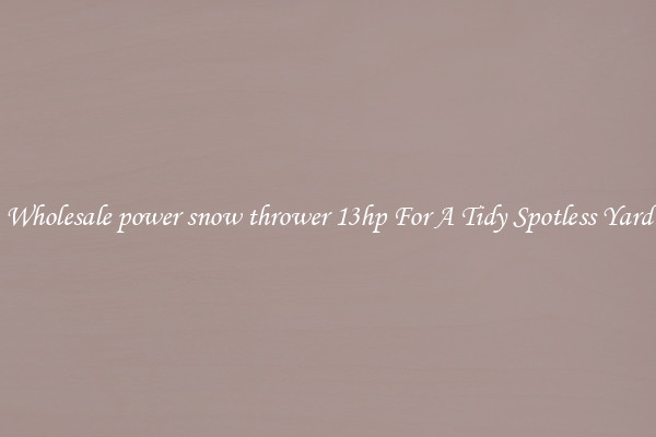 Wholesale power snow thrower 13hp For A Tidy Spotless Yard