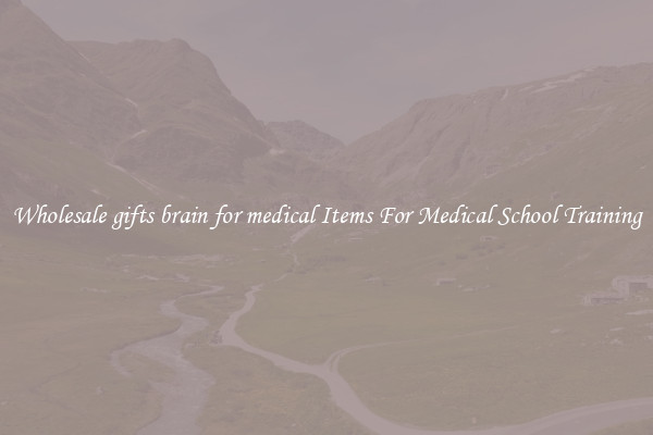 Wholesale gifts brain for medical Items For Medical School Training