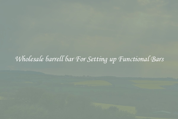 Wholesale barrell bar For Setting up Functional Bars