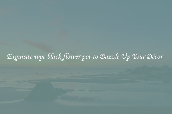 Exquisite wpc black flower pot to Dazzle Up Your Décor  
