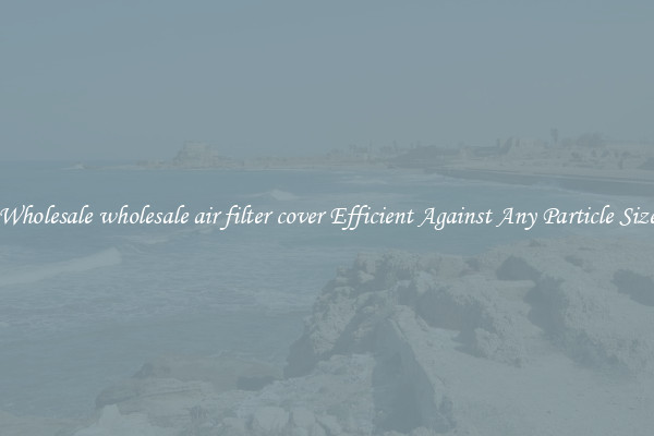Wholesale wholesale air filter cover Efficient Against Any Particle Size