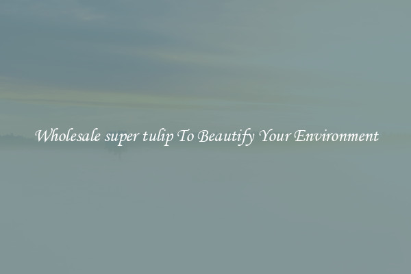 Wholesale super tulip To Beautify Your Environment