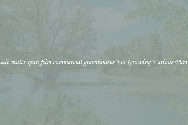 Wholesale multi span film commercial greenhouses For Growing Various Plant Types