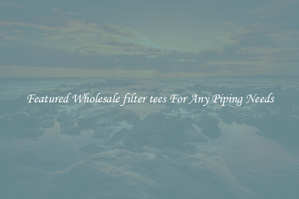 Featured Wholesale filter tees For Any Piping Needs