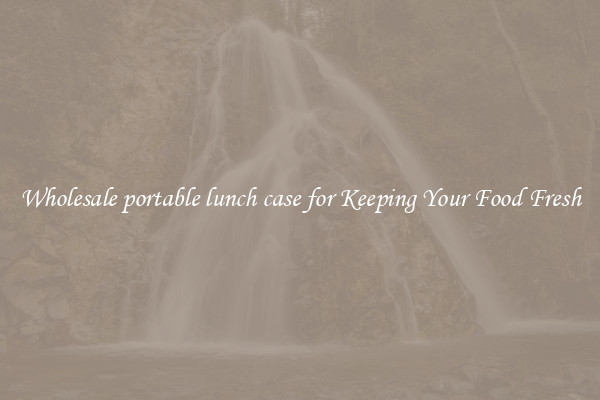 Wholesale portable lunch case for Keeping Your Food Fresh