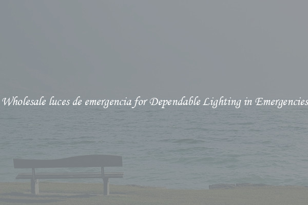 Wholesale luces de emergencia for Dependable Lighting in Emergencies