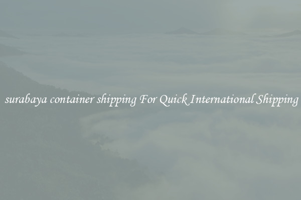surabaya container shipping For Quick International Shipping