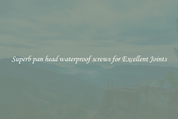 Superb pan head waterproof screws for Excellent Joints