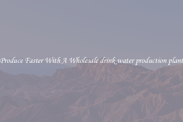 Produce Faster With A Wholesale drink water production plant