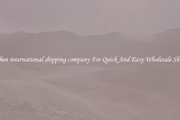 shenzhen international shipping company For Quick And Easy Wholesale Shipping