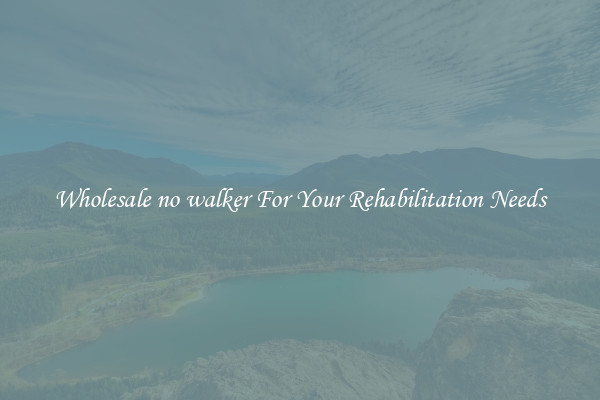 Wholesale no walker For Your Rehabilitation Needs