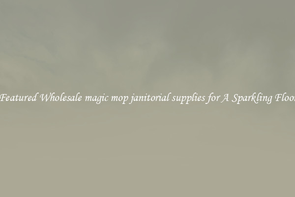 Featured Wholesale magic mop janitorial supplies for A Sparkling Floor