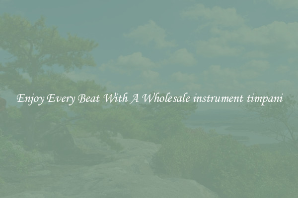 Enjoy Every Beat With A Wholesale instrument timpani
