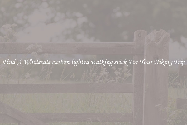 Find A Wholesale carbon lighted walking stick For Your Hiking Trip