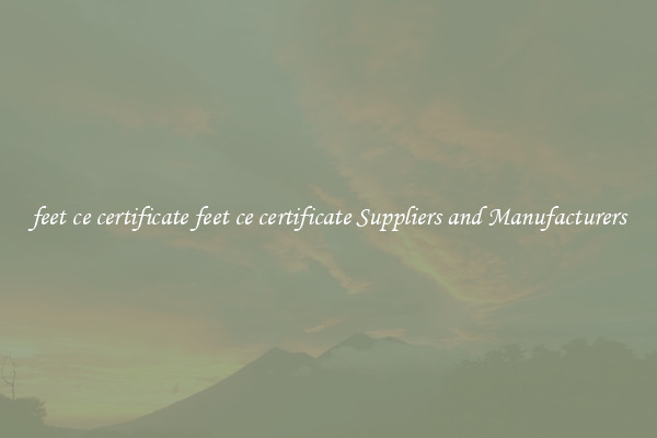 feet ce certificate feet ce certificate Suppliers and Manufacturers