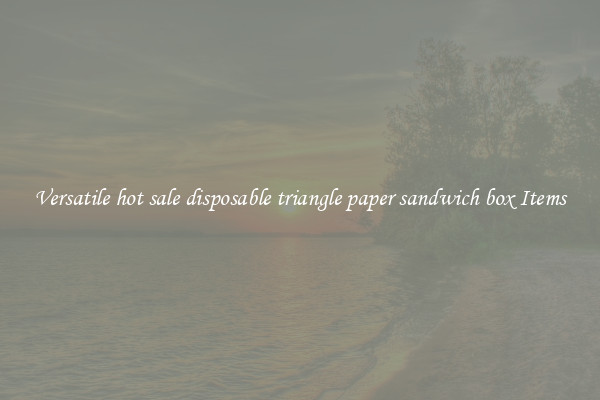 Versatile hot sale disposable triangle paper sandwich box Items