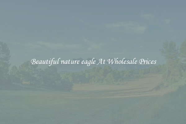 Beautiful nature eagle At Wholesale Prices