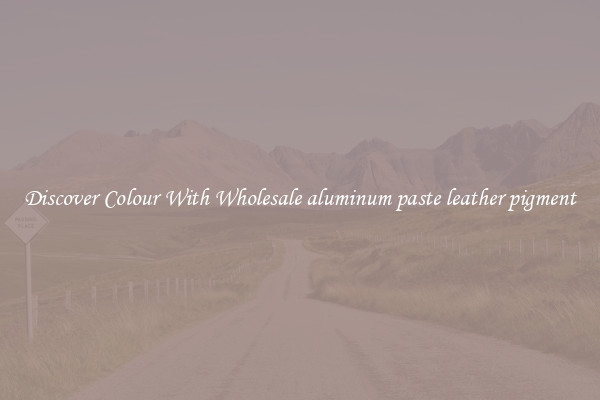 Discover Colour With Wholesale aluminum paste leather pigment