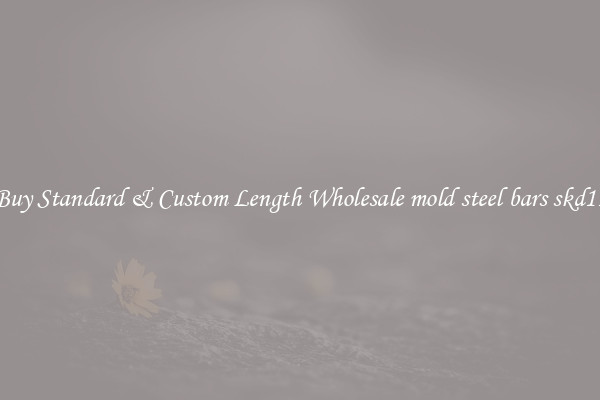 Buy Standard & Custom Length Wholesale mold steel bars skd11