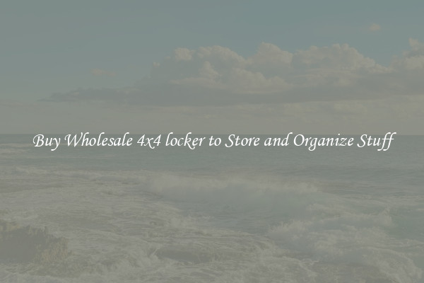 Buy Wholesale 4x4 locker to Store and Organize Stuff