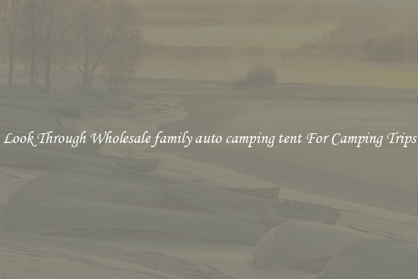 Look Through Wholesale family auto camping tent For Camping Trips