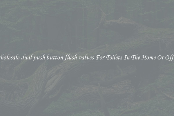 Wholesale dual push button flush valves For Toilets In The Home Or Office