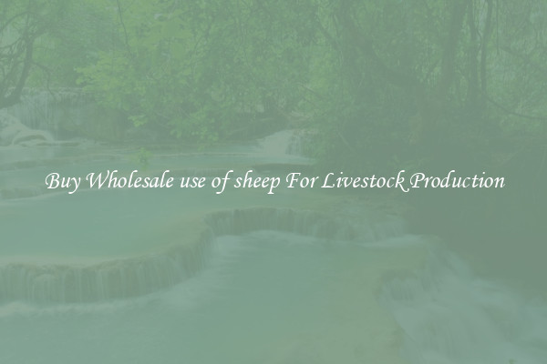 Buy Wholesale use of sheep For Livestock Production