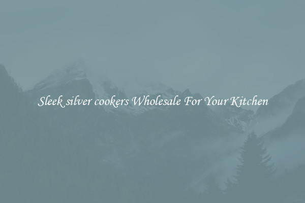 Sleek silver cookers Wholesale For Your Kitchen