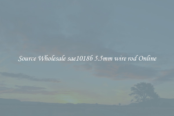 Source Wholesale sae1018b 5.5mm wire rod Online