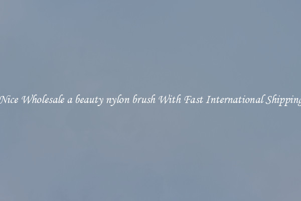 Nice Wholesale a beauty nylon brush With Fast International Shipping