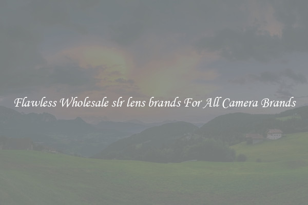 Flawless Wholesale slr lens brands For All Camera Brands